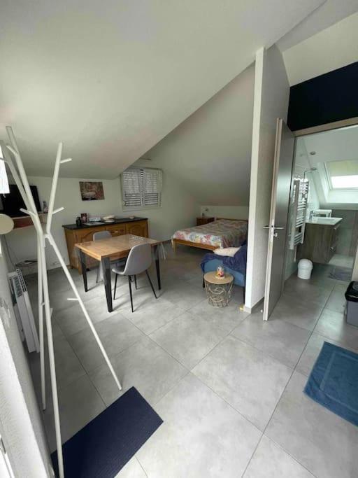 Studio Tout Equipe Aux Pieds Des Vosges Leimbach Exteriér fotografie