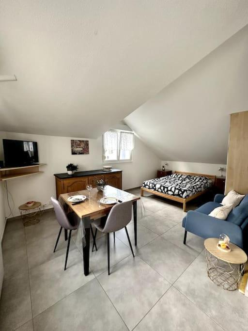 Studio Tout Equipe Aux Pieds Des Vosges Leimbach Exteriér fotografie